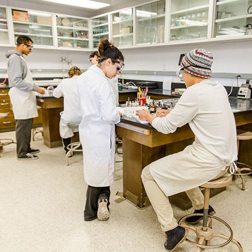 Group of students working in a lab